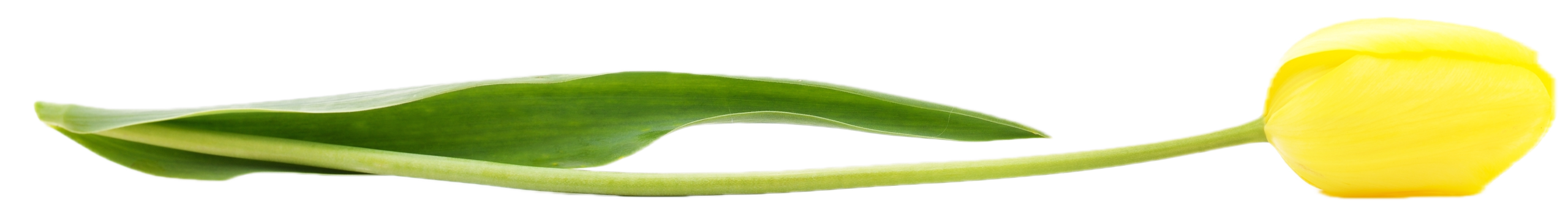 shutterstock_2187725713