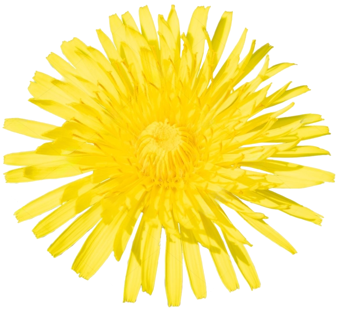 Md21de4d01f75163a39ca7f3686425a7d1737152097843